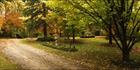 Garden of Light - Bright - VIC (PBH4 00 13627)